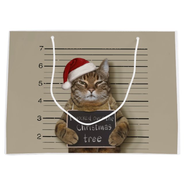 Mugshot Cat-jul (Framsidan)