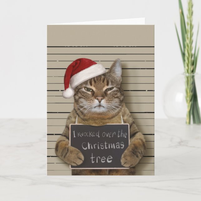 Mugshot Cat-jul Kort (Framsida)