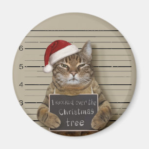 Mugshot Cat-jul Magnet