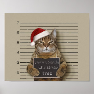Mugshot Cat-jul Poster