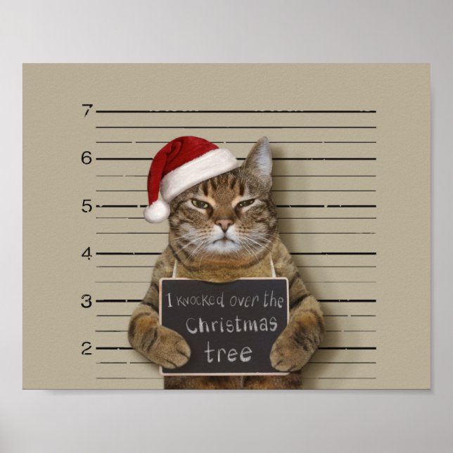 Mugshot Cat-jul Poster (Framsidan)