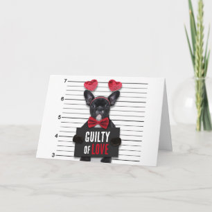 Mugshot Kärlek Skyldig Hund Roligt Alla Hjärtans D Kort