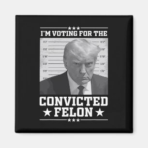 Mugshot Vote for the Felon Trump 2024 Trump Convic Magnet