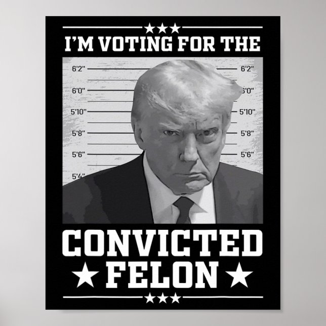 Mugshot Vote for the Felon Trump 2024 Trump Convic Poster (Framsidan)