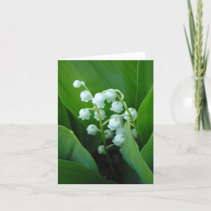 Muguet Kort
