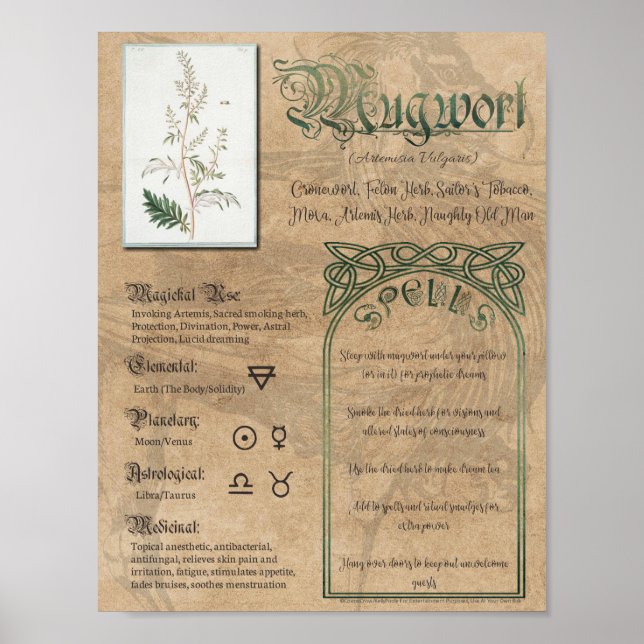 Mugwort Herbal Bok of Shadows Pagan Wiccan Poster (Framsidan)