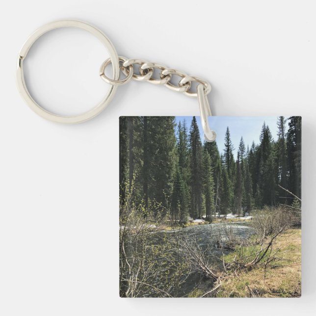 Muir Bäck, Oregon (Framsidan)