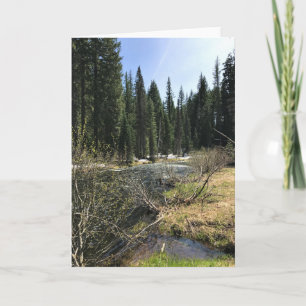 Muir Bäck, Oregon Kort