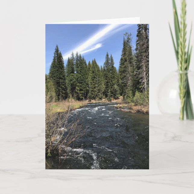 Muir Bäck, Oregon Kort (Framsida)