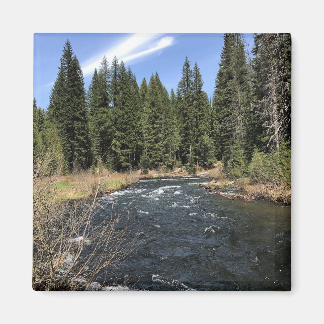 Muir Bäck, Oregon Magnet (Framsidan)