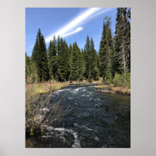 Muir Bäck, Oregon Poster