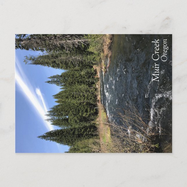 Muir Creek Vykort (Framsida)