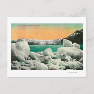 Muir Glacier och Icebergs i Alaska #1 Vykort