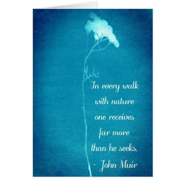 Muir Nature Walk Quote Hälsningskort (Framsidan)