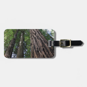 Muir skogen bagagebricka
