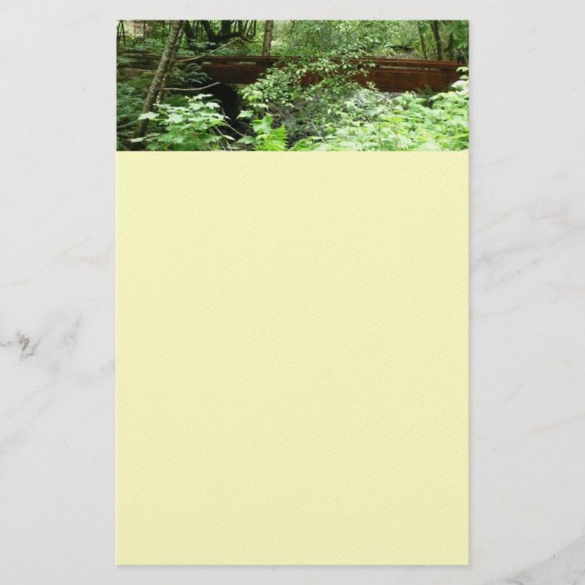 Muir Skogen Bridge I Brevpapper (Framsida)
