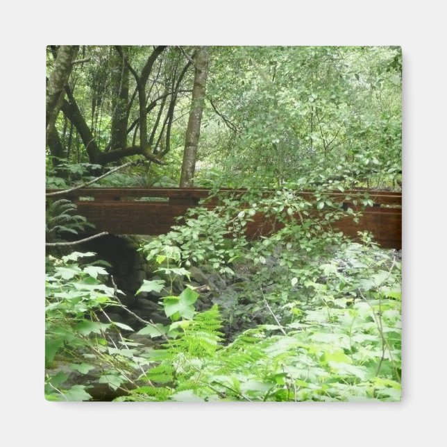 Muir Skogen Bridge I Magnet (Framsidan)