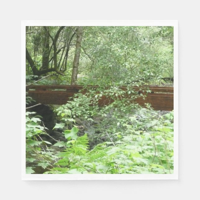 Muir Skogen Bridge I Pappersservett (Framsidan)