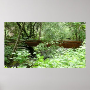 Muir Skogen Bridge I Poster