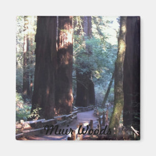 Muir skogen magnet