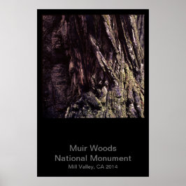 Muir Skogen nationalmonument Färg (Mörk) Poster