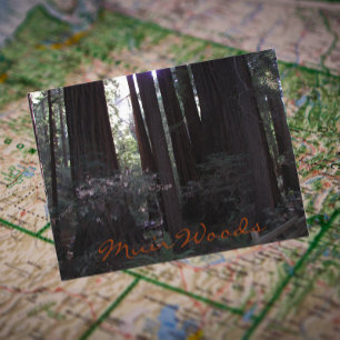 Muir Skogen nationalmonument Travel Photo Vykort