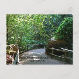 Muir Skogen Post Card Vykort