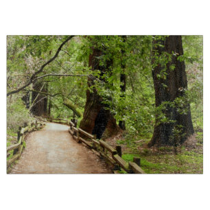 Muir Skogen Väg II Natur Fotografi