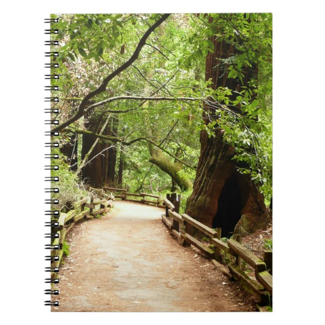 Muir Skogen Väg II Natur Fotografi Anteckningsbok Med Spiral (Framsidan)