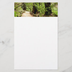 Muir Skogen Väg II Natur Fotografi Brevpapper
