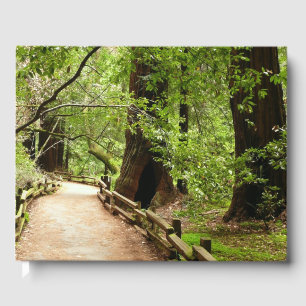 Muir Skogen Väg II Natur Fotografi Gästböcker