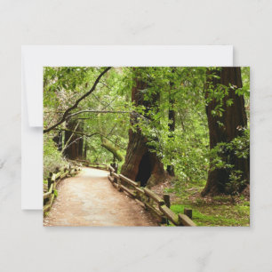 Muir Skogen Väg II Natur Fotografi Kort