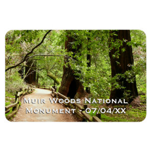 Muir Skogen Väg II Natur Fotografi Magnet