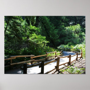 ’Muir Skogen Walk’ Poster
