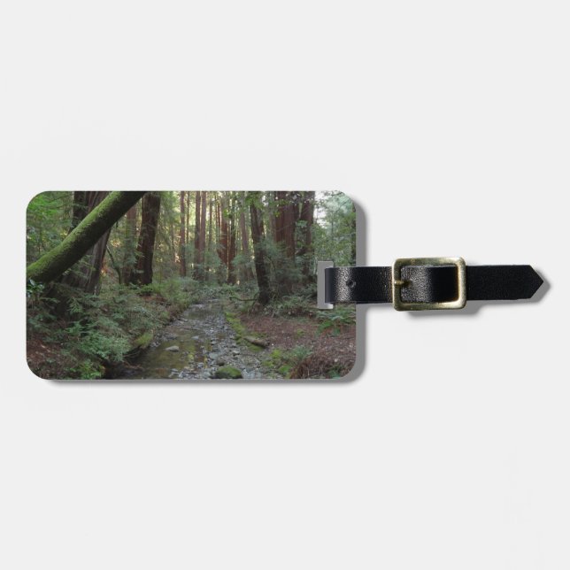 Muir Woods bäck skogslandskap Bagagebricka (Horisontell Framsida)