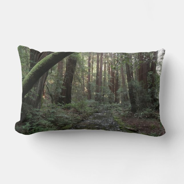 Muir Woods bäck skogslandskap Lumbarkudde (Framsida)