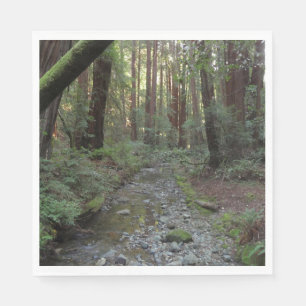 Muir Woods bäck skogslandskap Pappersservett