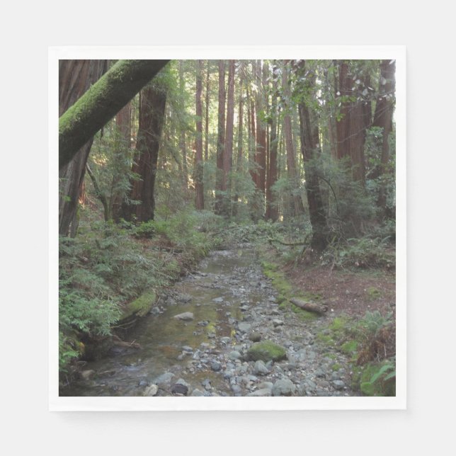 Muir Woods bäck skogslandskap Pappersservett (Framsidan)