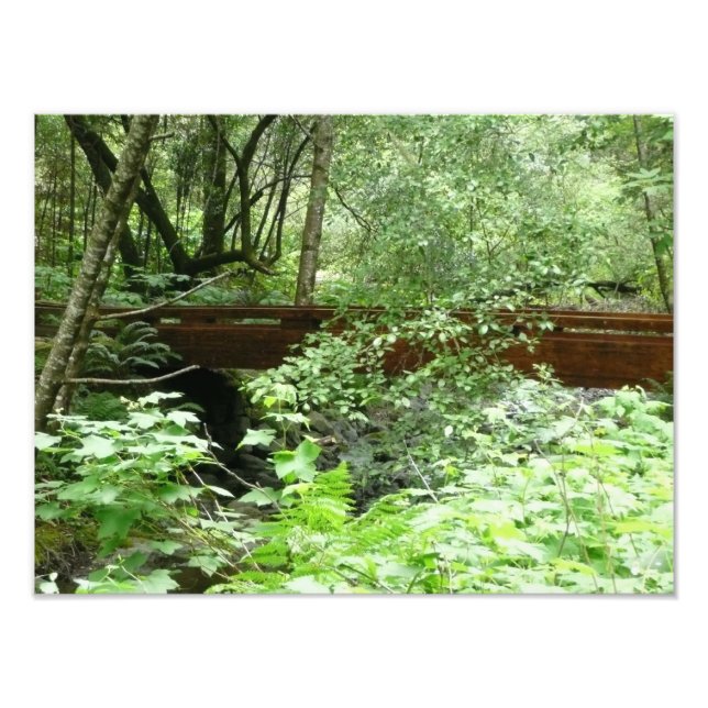 Muir Woods Bridge I Fototryck (Framsidan)