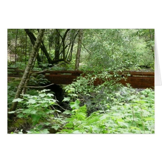 Muir Woods Bridge I Hälsningskort (Framsidan Horizontal)
