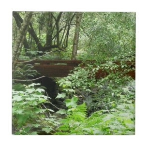 Muir Woods Bridge I Kakelplatta
