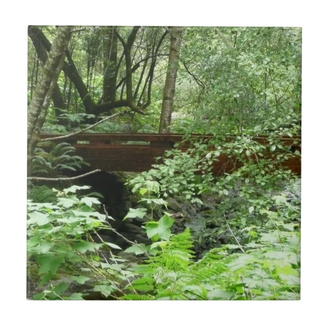 Muir Woods Bridge I Kakelplatta (Framsidan)