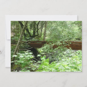 Muir Woods Bridge I Kort