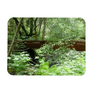 Muir Woods Bridge I Magnet