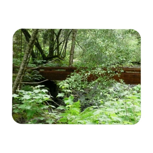 Muir Woods Bridge I Magnet (Horisontell)