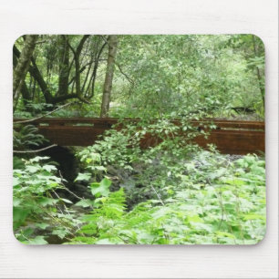 Muir Woods Bridge I Musmatta