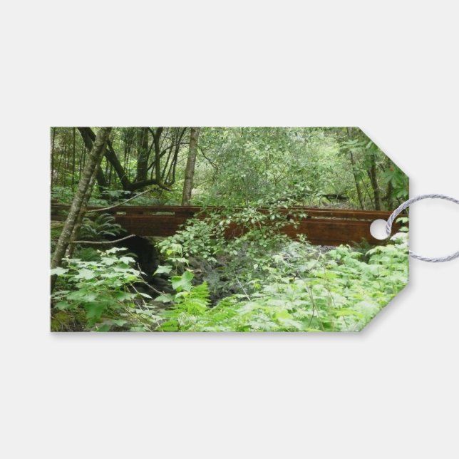 Muir Woods Bridge I Presentetikett (Framsidan (Horisontell))