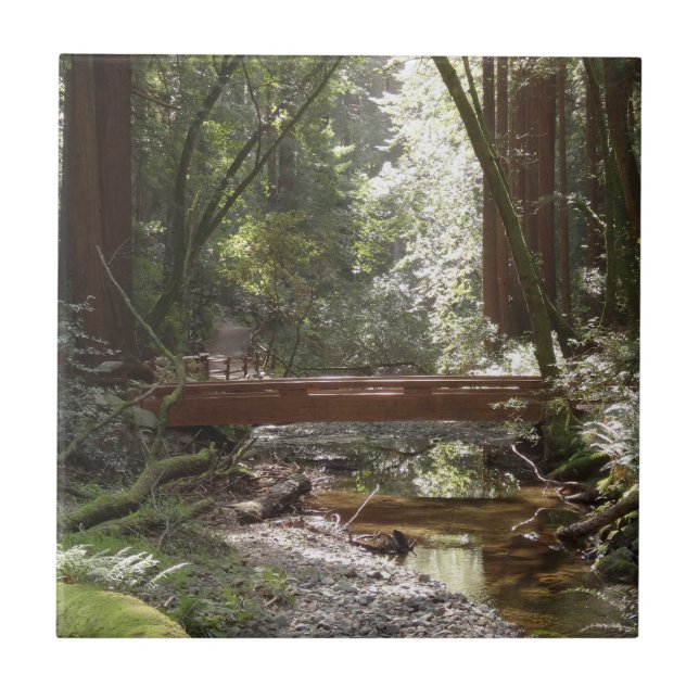 Muir Woods Bridge II Kakelplatta (Framsidan)