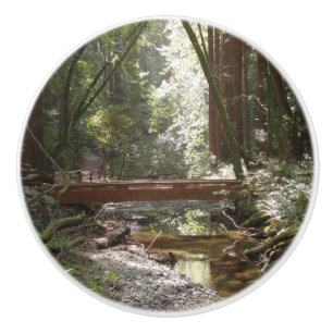 Muir Woods Bridge II Knopp