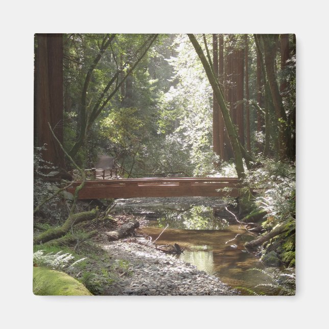 Muir Woods Bridge II Magnet (Framsidan)